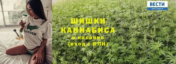 гидра Зеленодольск