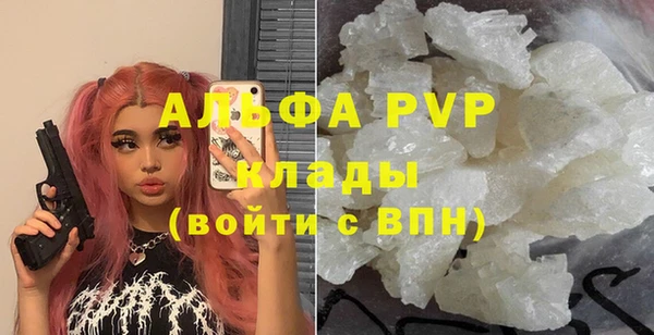 шишки Заводоуковск