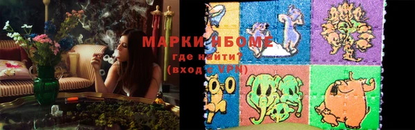 шишки Заводоуковск