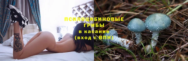 шишки Заводоуковск