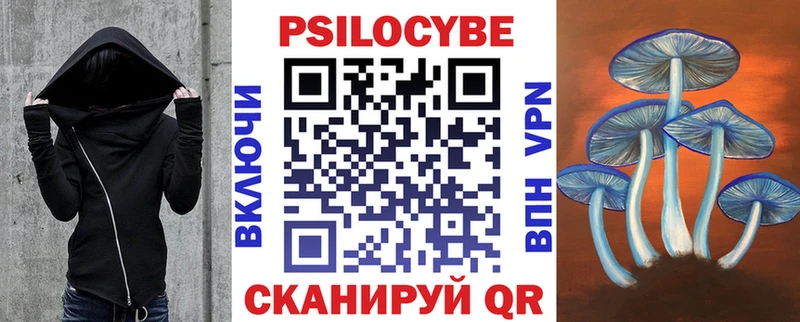 Псилоцибиновые грибы Psilocybe  Купить закладки  Змеиногорск 